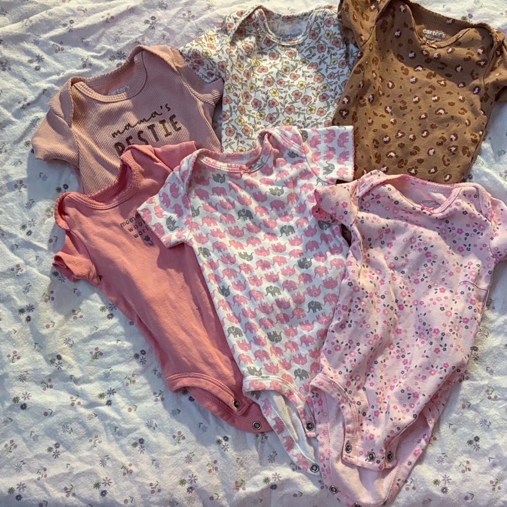 Assorted Pink and Brown Baby Onesies Set